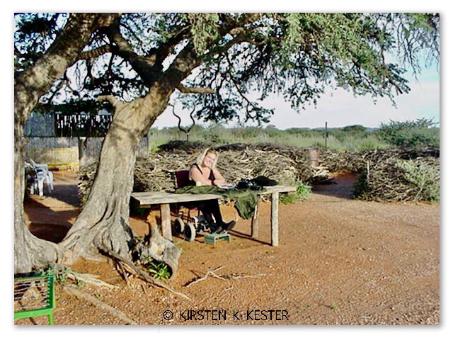 Flying micro-light above African wildlife @ Kirsten K Kester | InsightandVisions.com