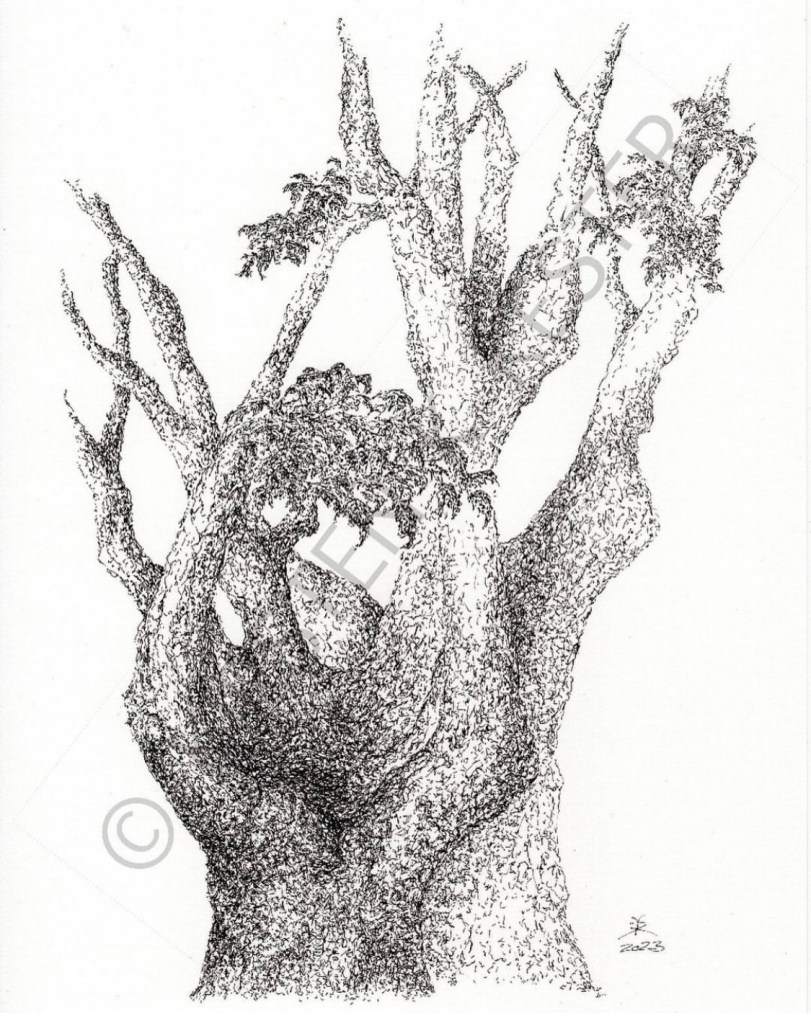 My Artworks / tree @ Kirsten K Kester | InsightandVisions.com