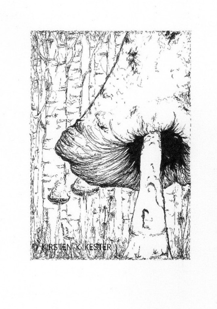 My Artworks / mushrooms @ Kirsten K Kester | InsightandVisions.com